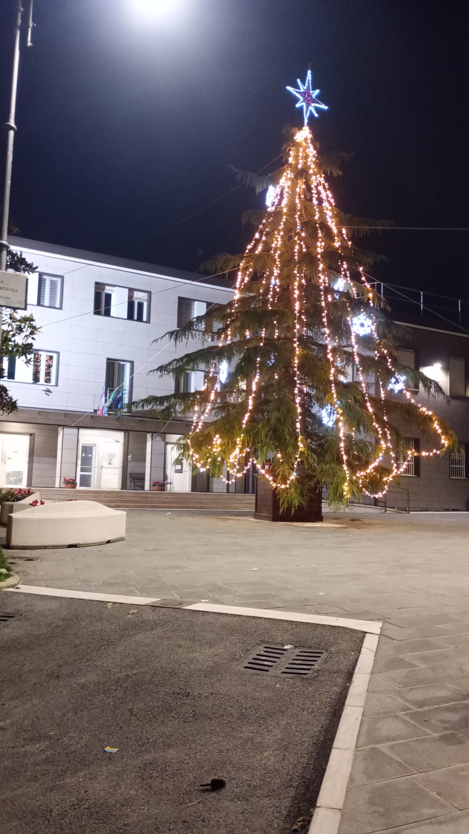 Cesinali si veste di festa e accende l’atmosfera natalizia, appuntamento in piazza Saverio Urciuoli