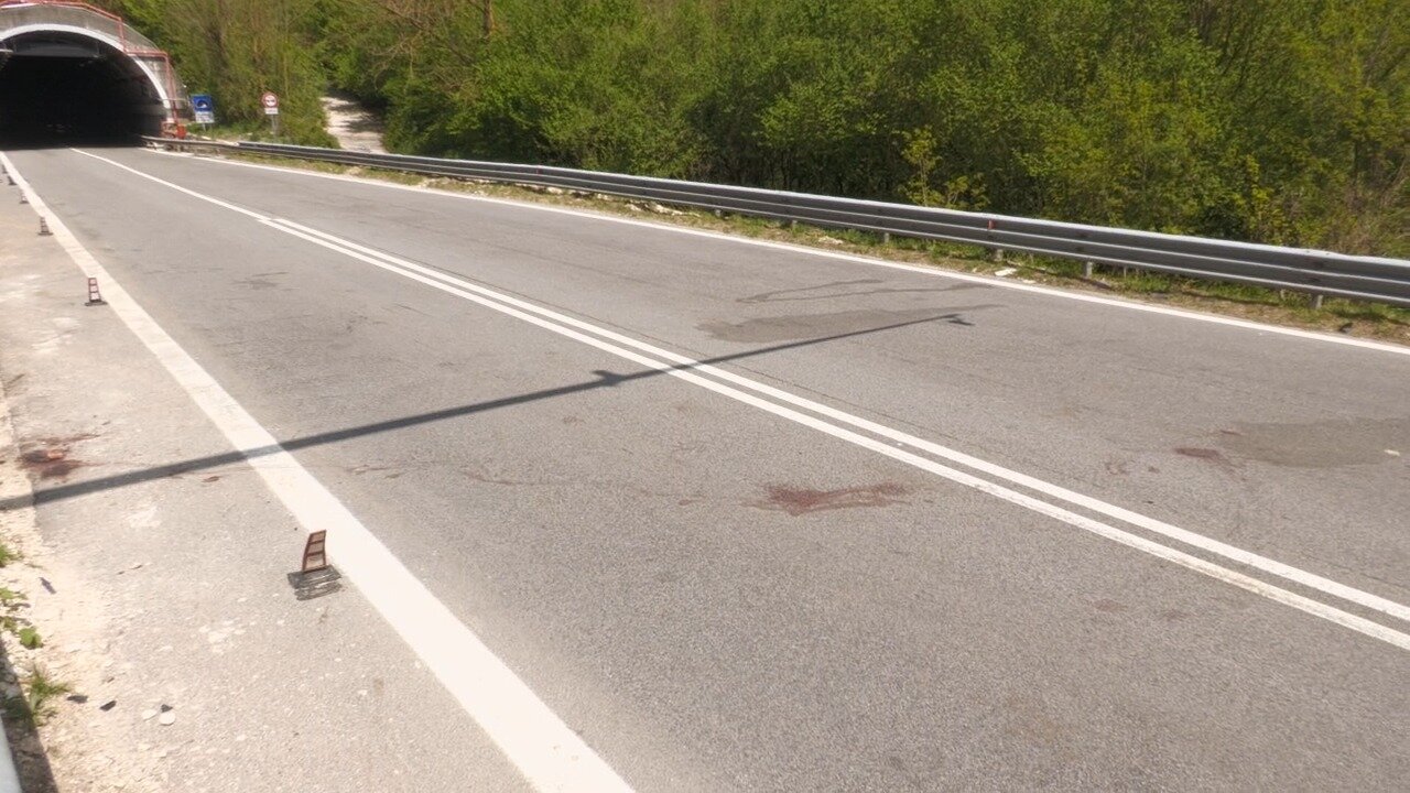 Strage di bovini Sull'Ofantina: otto mucche morte, tre auto coinvolte e quattro feriti, anche un bambino