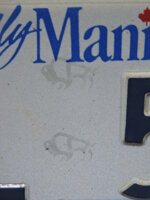 targa-auto-canada-provincia-manitoba-paesaggiobisonte-edl510