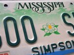 targa-auto-originale-stato-mississippi-fiore-di-magnolia-piccolo-serie-20032008-600spr