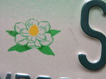 targa-auto-originale-stato-mississippi-fiore-di-magnolia-piccolo-serie-20032008-600spr