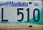targa-auto-canada-provincia-manitoba-paesaggiobisonte-edl510