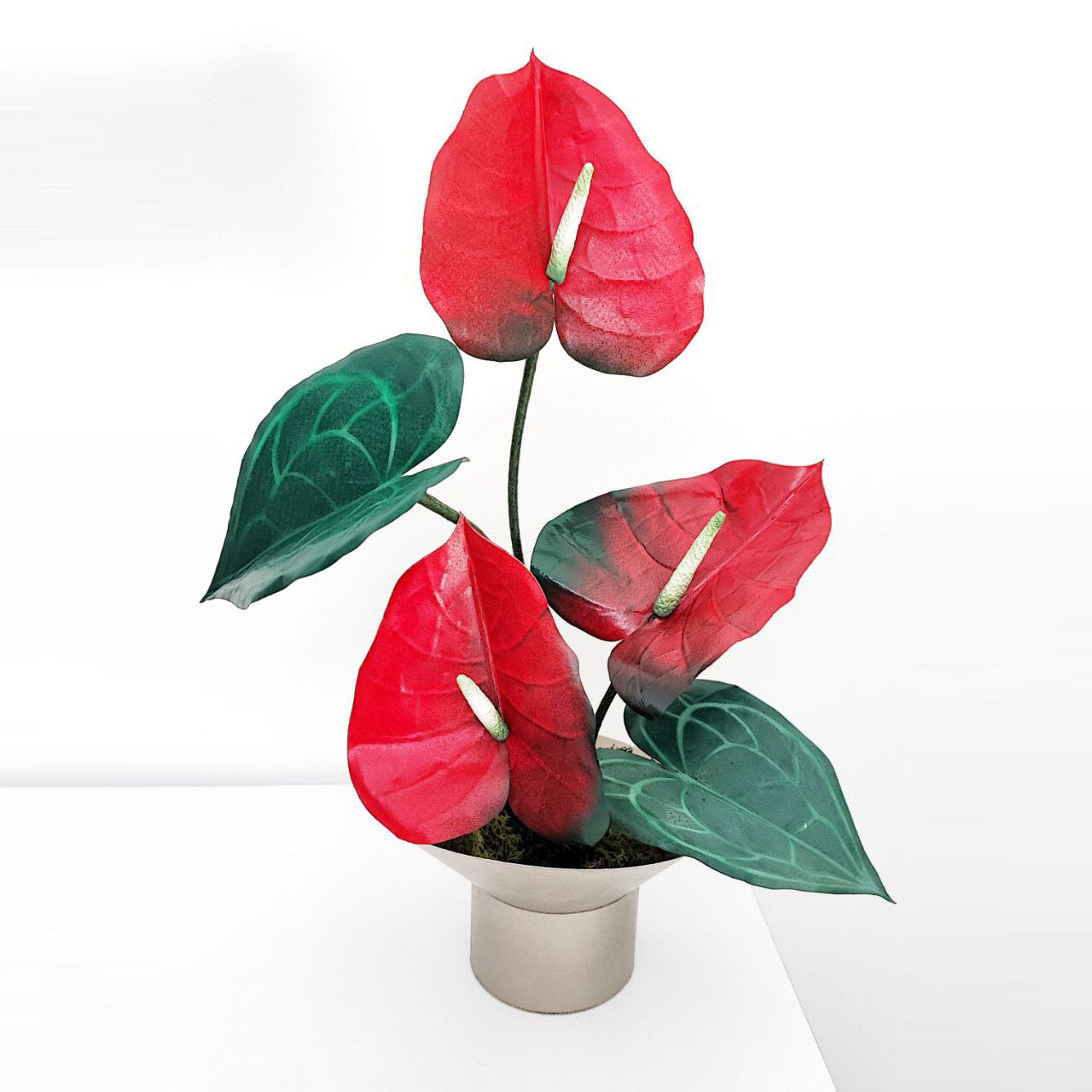 anthurium.jpeg