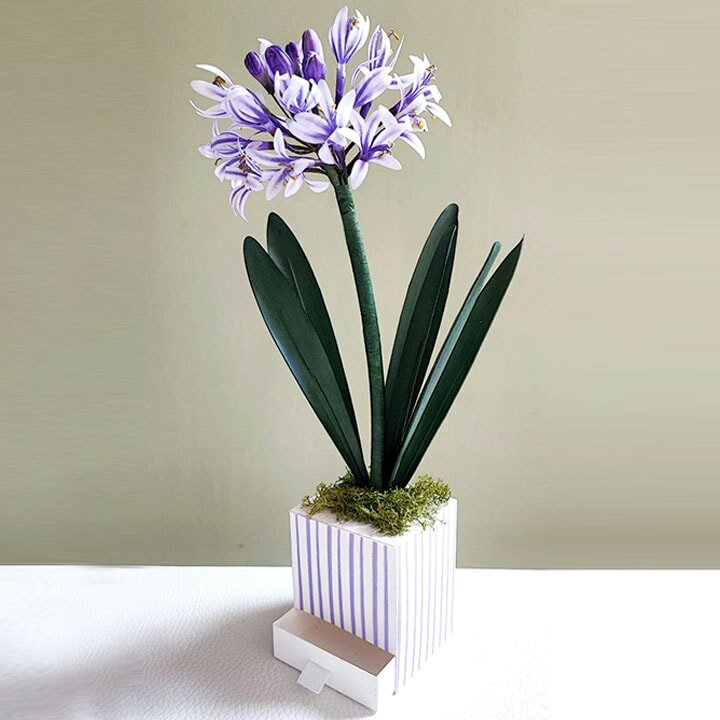 agapanthus.jpeg