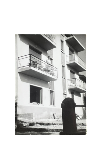 photoroom_012_20250910_181207 photoroom_012_20250910_181207