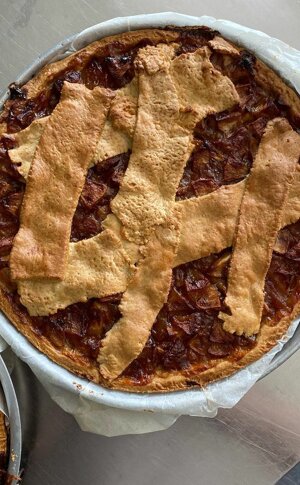 221855226_148664227349922_500535835656635234_n.jpeg 221855226_148664227349922_500535835656635234_n.jpeg