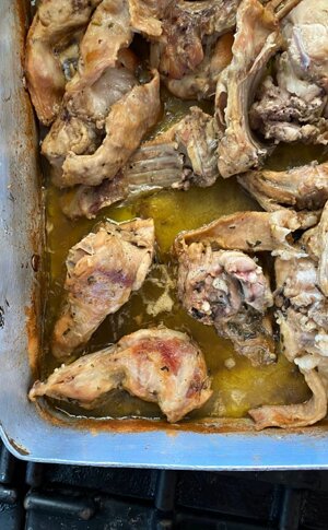 262132265_298088448892093_8862004226660465622_n.jpeg 262132265_298088448892093_8862004226660465622_n.jpeg