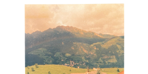 photoroom_025_20250910_181207 photoroom_025_20250910_181207