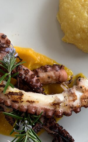 131914944_1082031225555859_4695680488594731243_n.jpeg 131914944_1082031225555859_4695680488594731243_n.jpeg