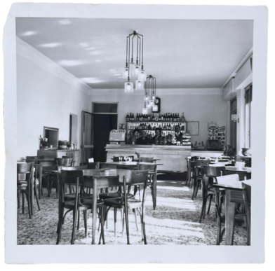 photoroom_004_20250910_181207 photoroom_004_20250910_181207