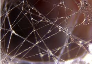 capture d’écran 2025-07-25 à 15.42.07 capture d’écran 2025-07-25 à 15.42.07