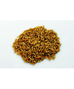 grano-duro-siciliano-varieta-perciasacchi