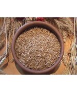 grano-duro-siciliano-varieta-khorasan