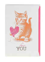 biglietto-doppio-cat