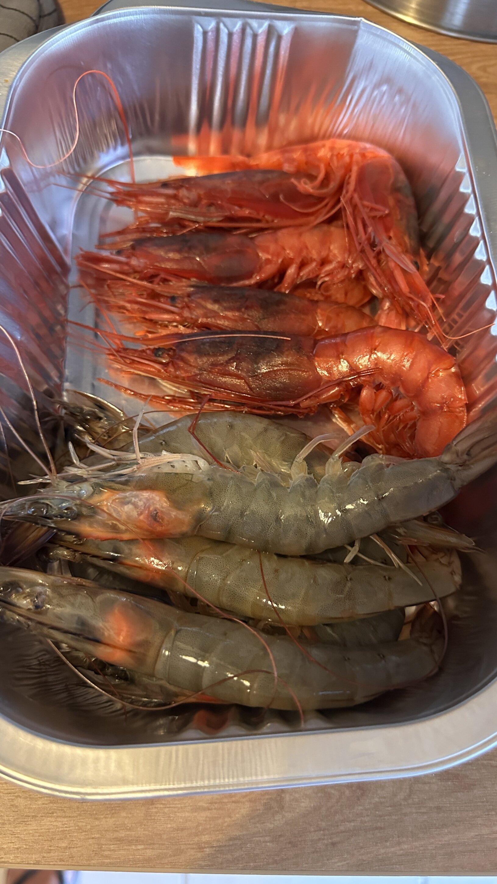 crostacei.jpeg