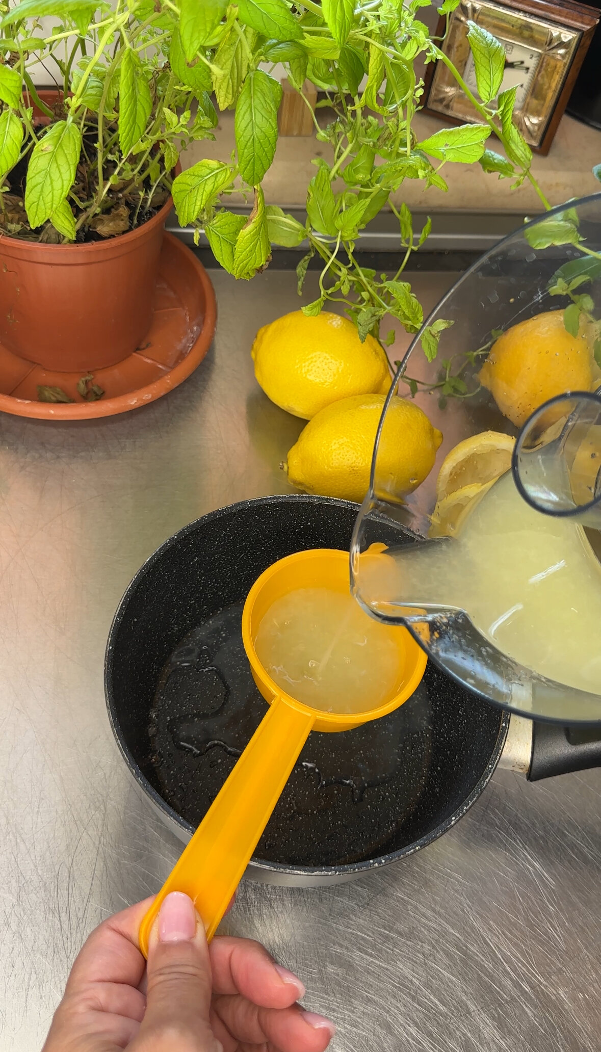 img_7657.jpeg img_7657.jpeg