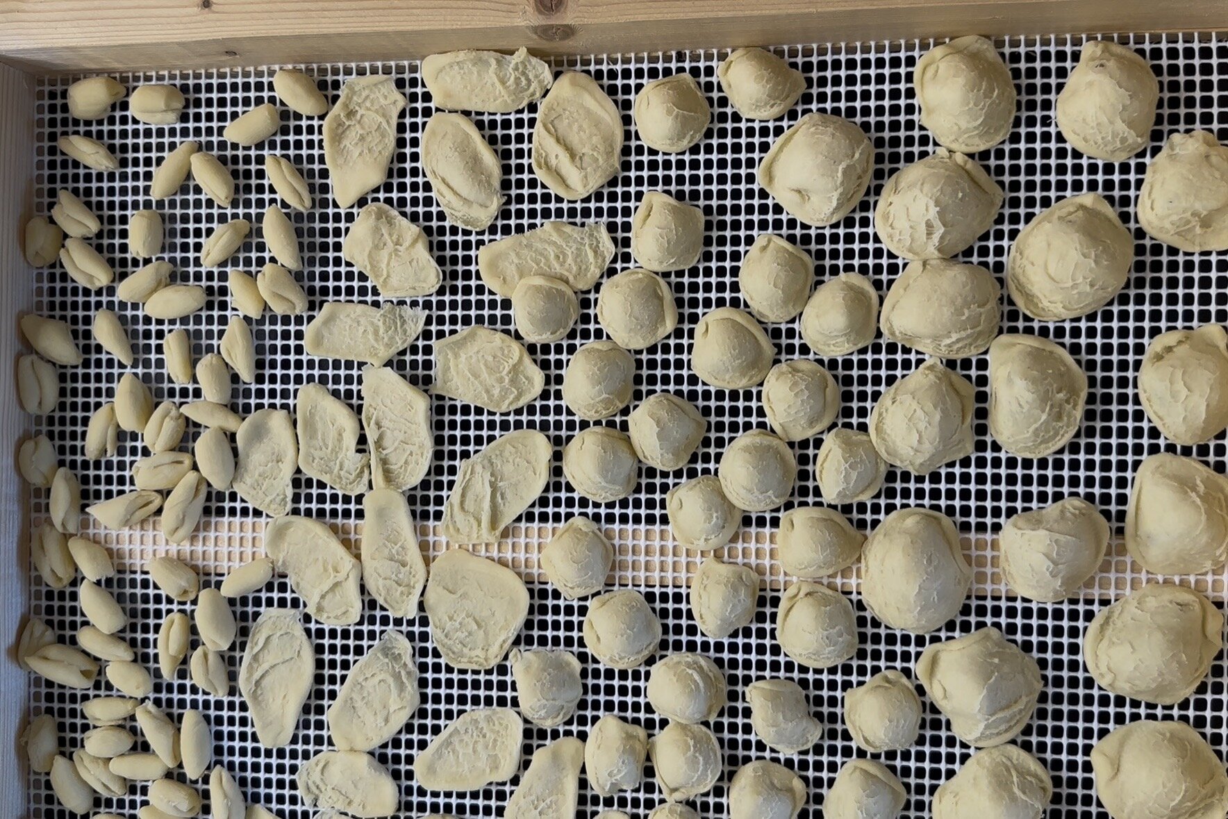Pasta fresca pugliese fatta in casa