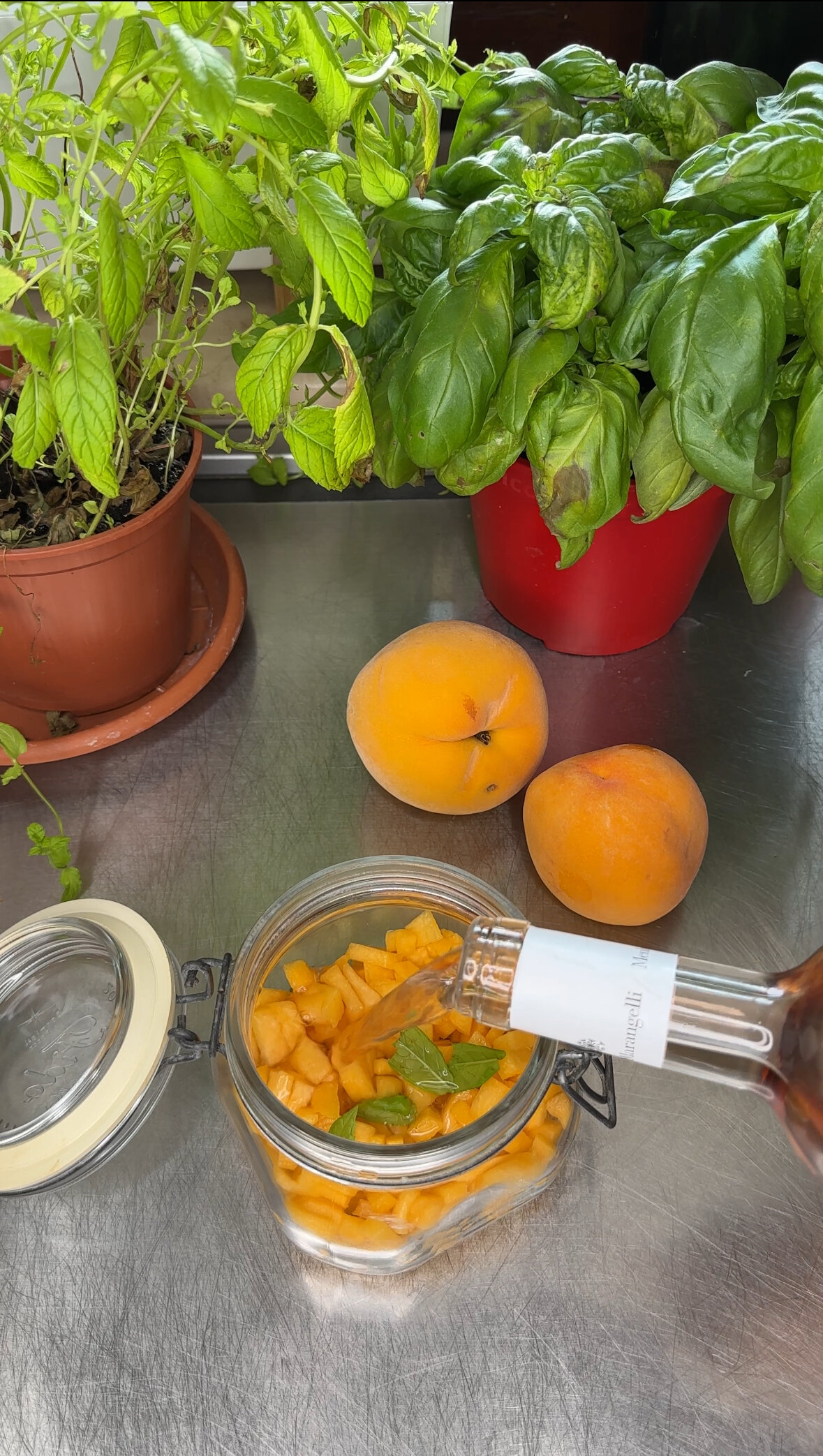 img_7665.jpeg img_7665.jpeg