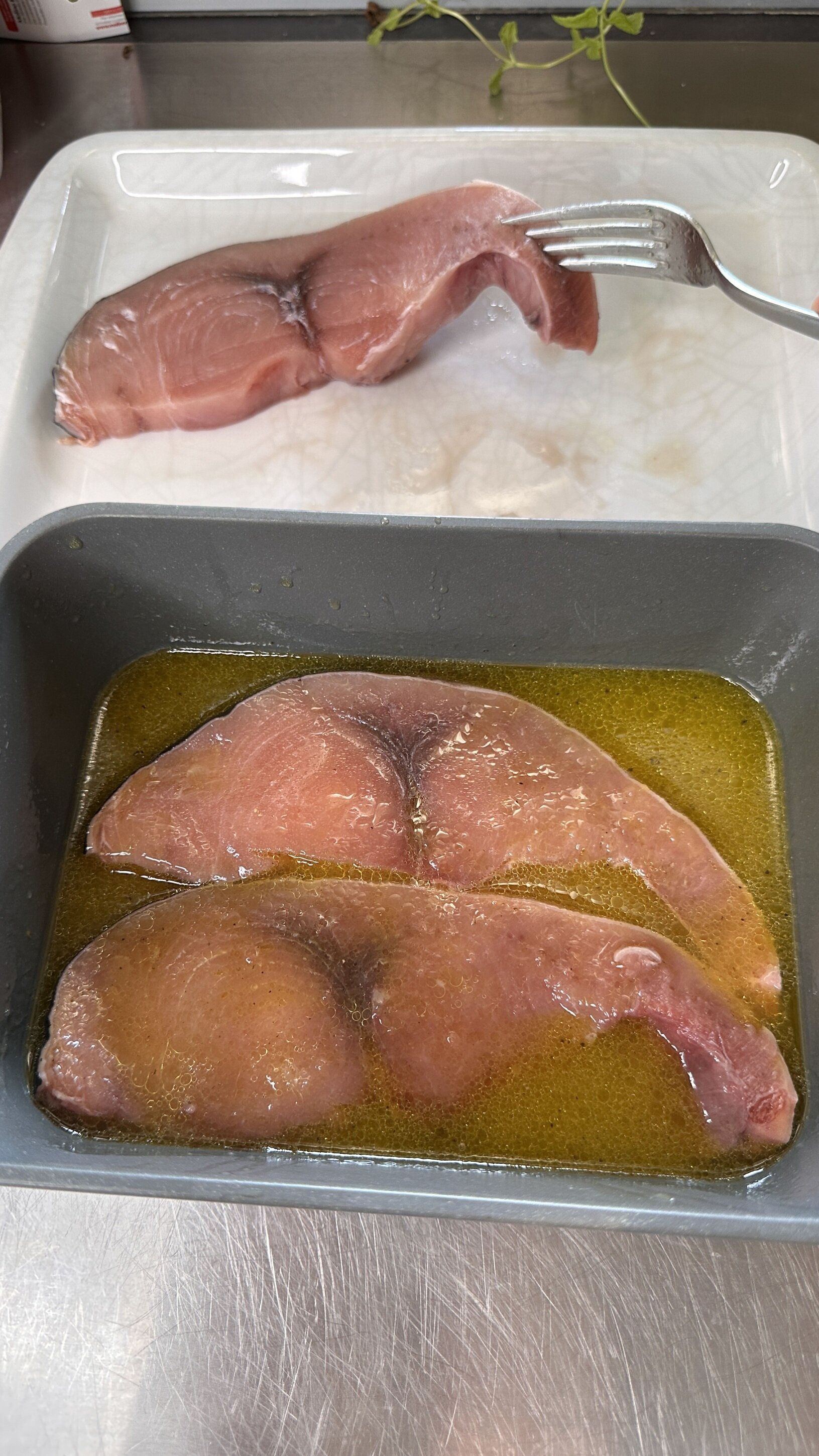 img_7508.jpeg img_7508.jpeg