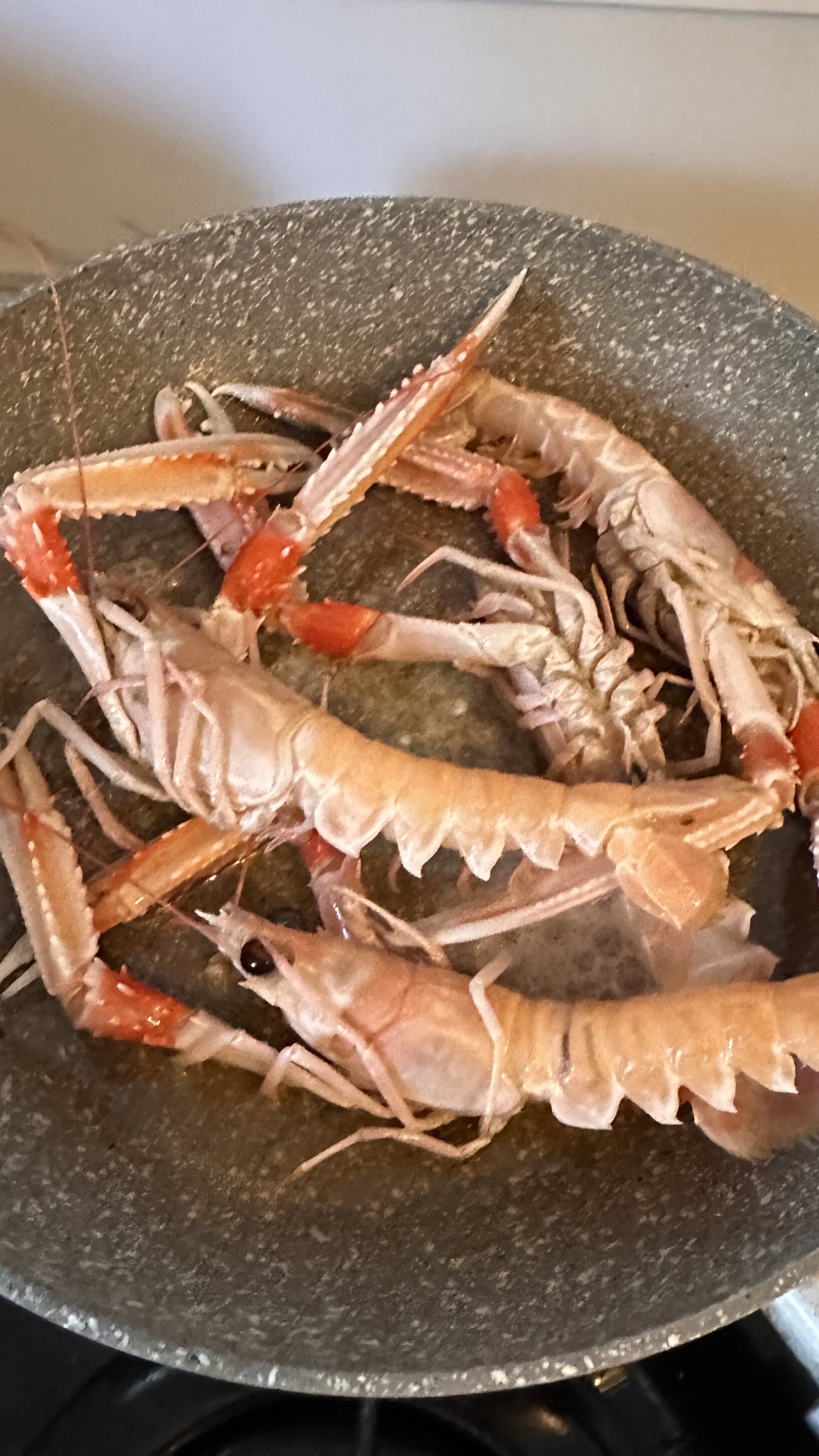 scampi.jpeg