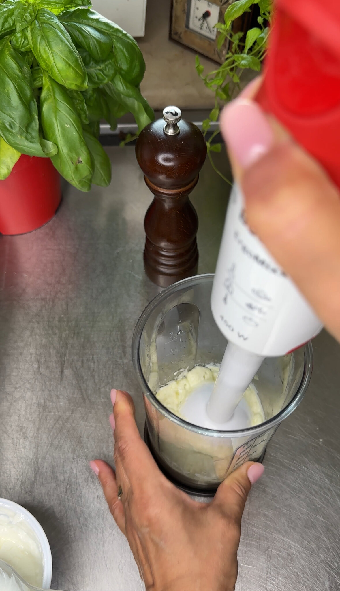 sedano-2.jpeg sedano-2.jpeg