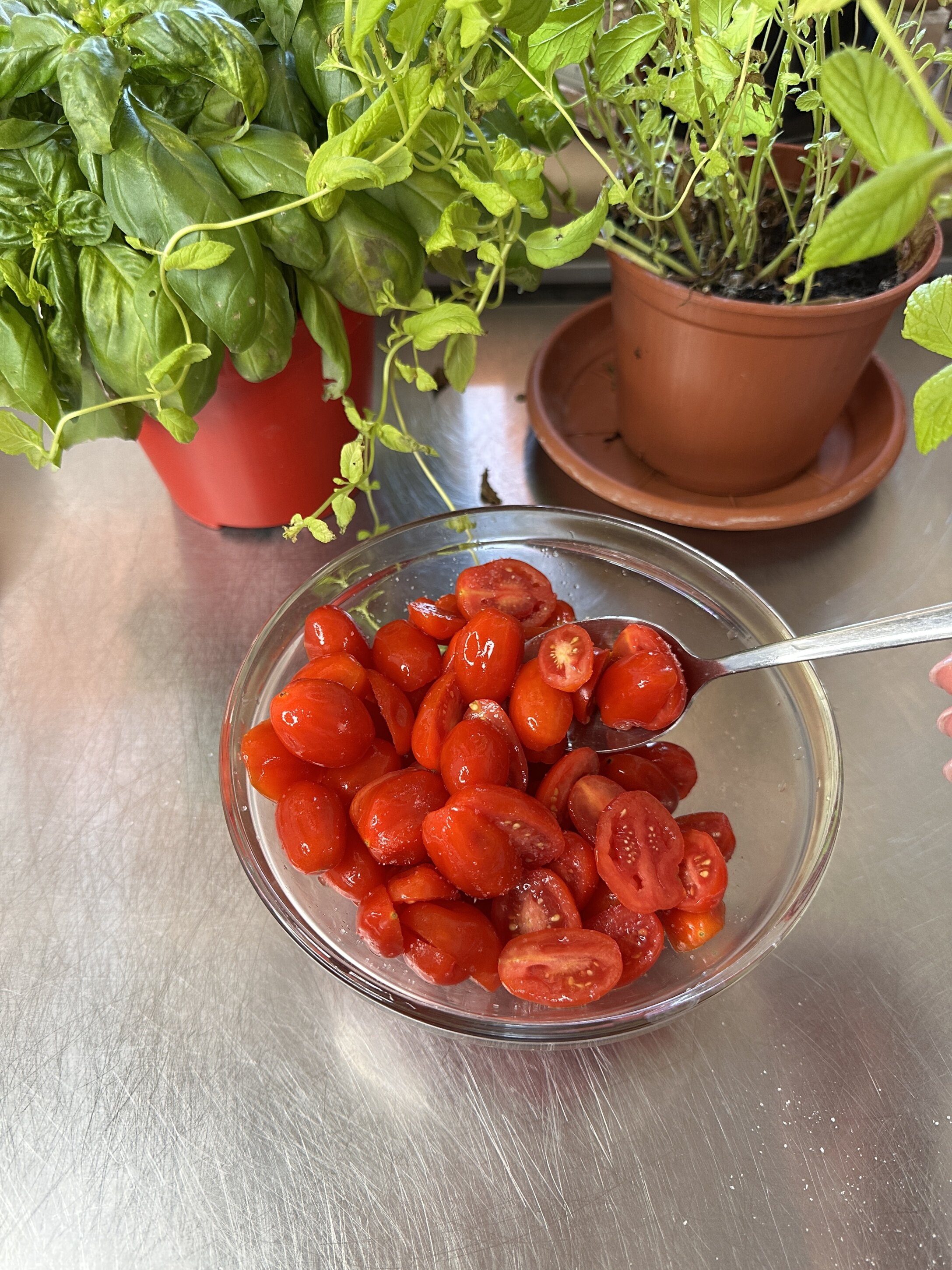 pomodorini-1.jpeg pomodorini-1.jpeg