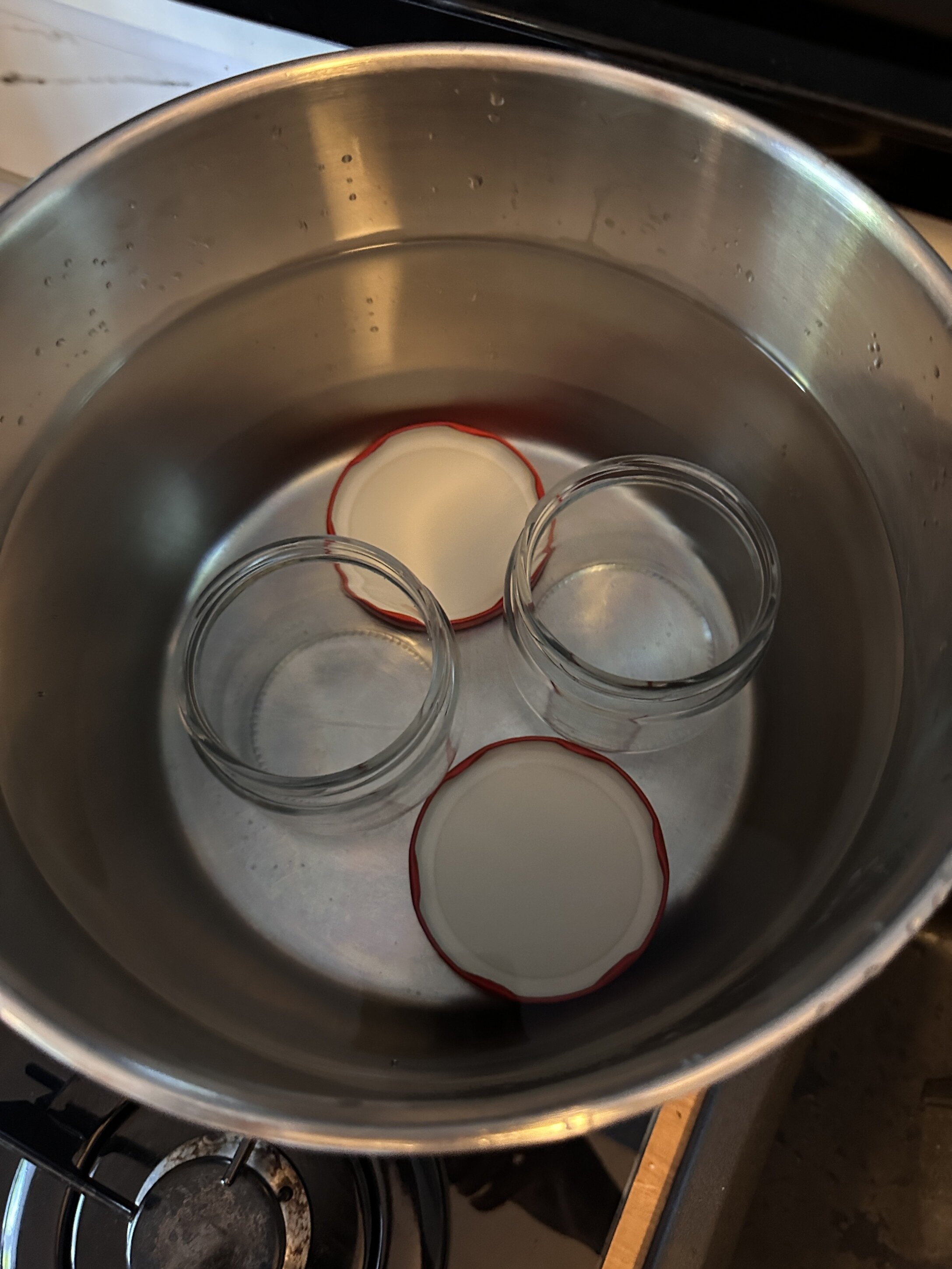 sterilizzazione.jpeg sterilizzazione.jpeg