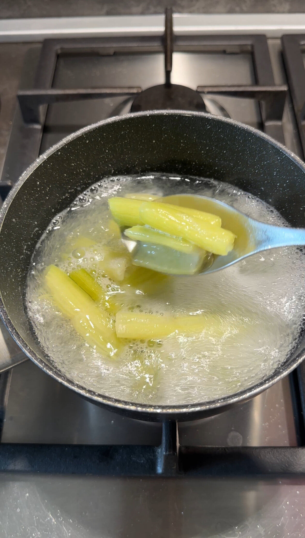 img_7958.jpeg img_7958.jpeg