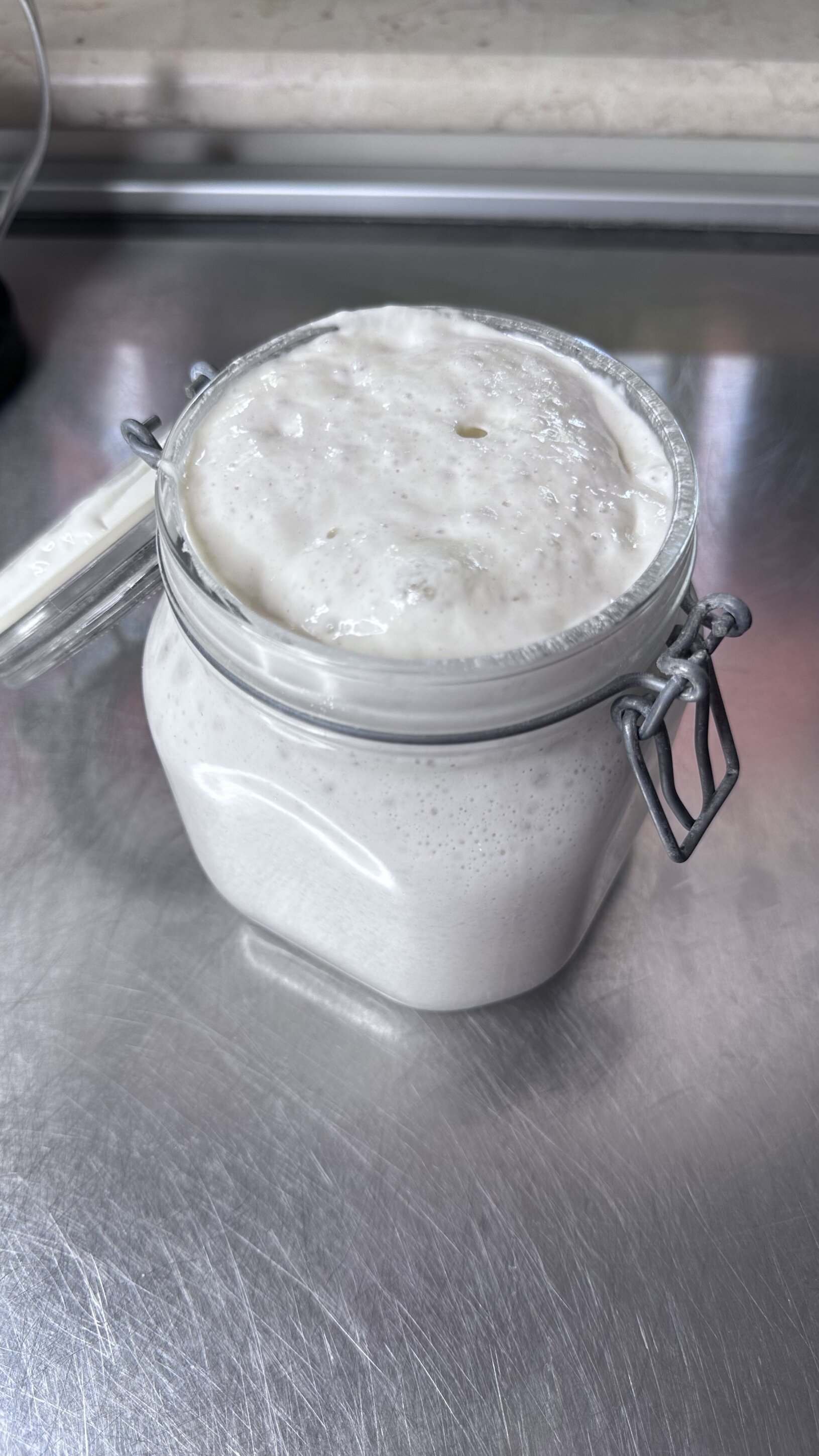 Rinfresco licoli lievito in coltura liquida