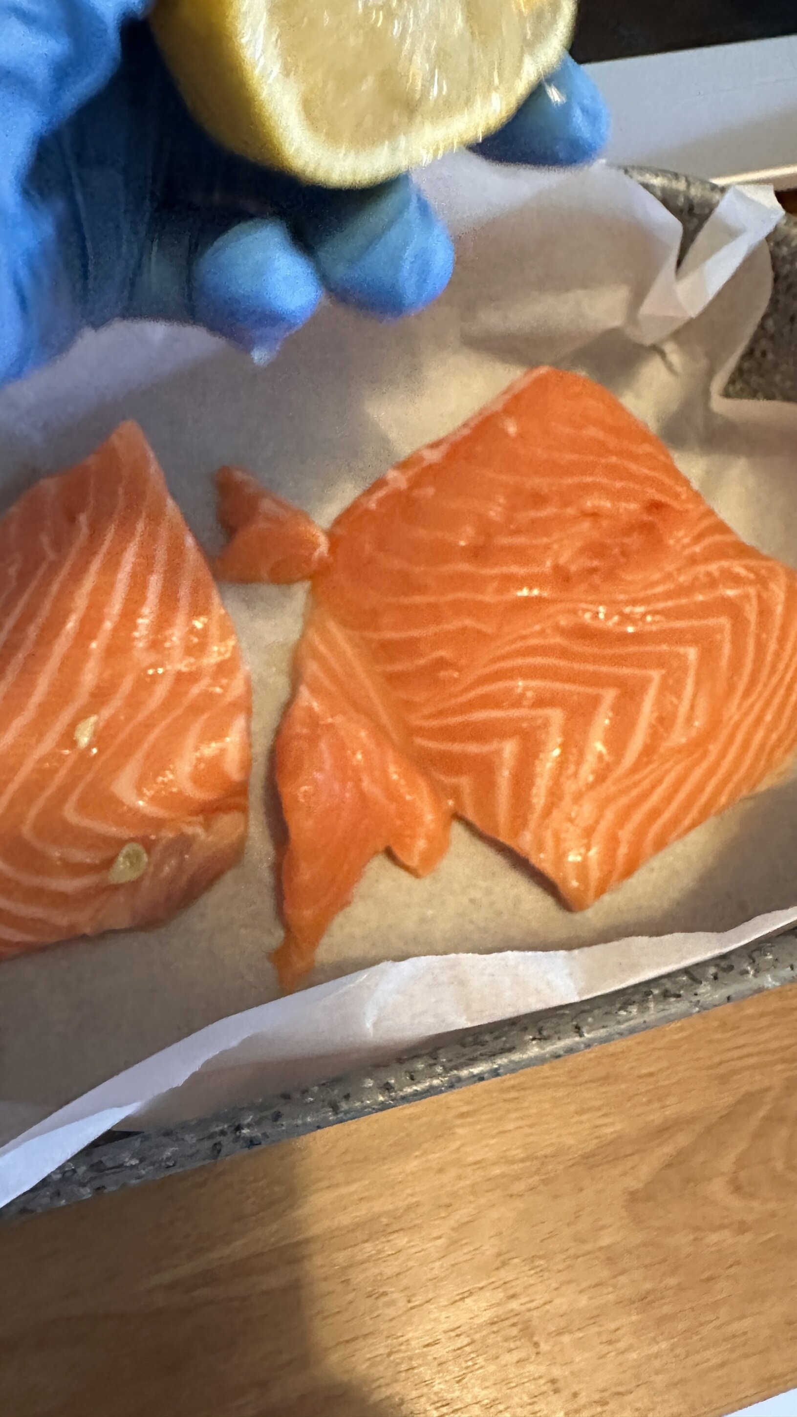 salmone.jpeg