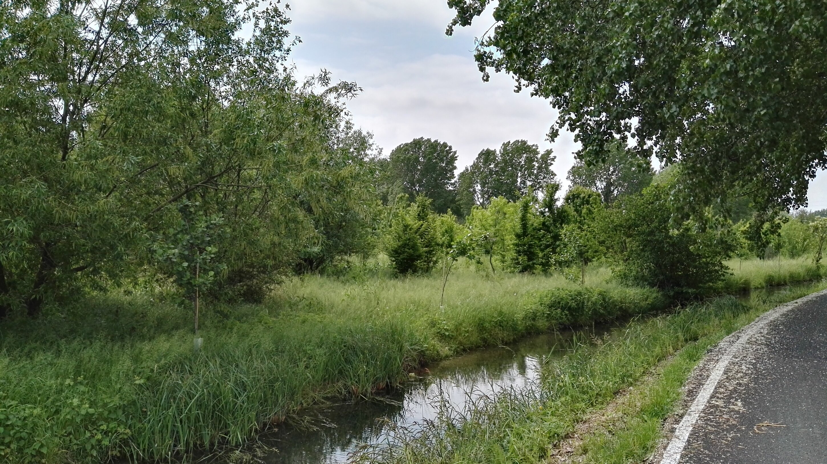 foto-parco-della-vita.jpeg