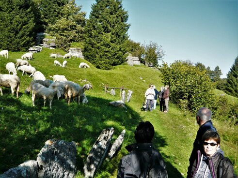Hotel Belvedere Altopiano di Asiago montagna panorama escursioni