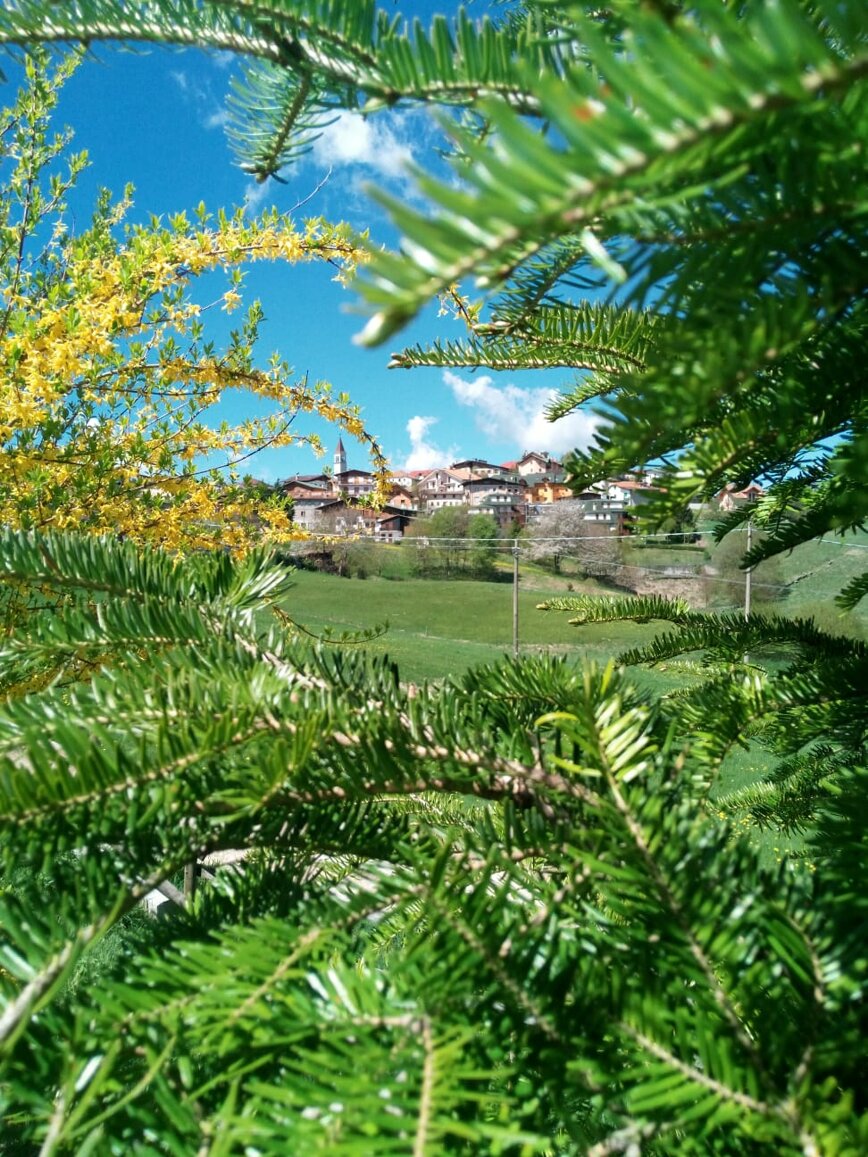 primavera da ritoccre.jpeg