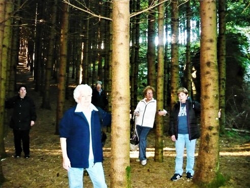 Hotel Belvedere Altopiano di Asiago montagna panorama escursioni