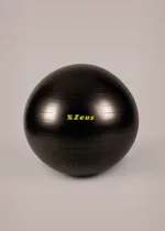 gym-ball-zeus-nero-fitness-training-jogging-passeggiate