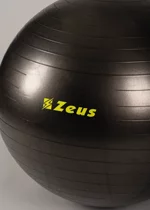 gym-ball-zeus-nero-fitness-training-jogging-passeggiate
