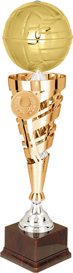 136141-trofeo-volley-pallone-metallo-h500mm