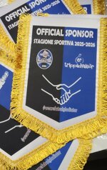 gagliardetto-pentagonale-24x29-personalizzato-10pz-990