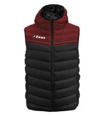 10-smanicato-rodi-zeus