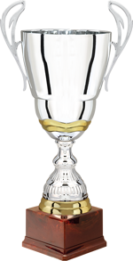 26041-2-trofeo-h440mm