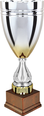28024-1-trofeo-h370mm