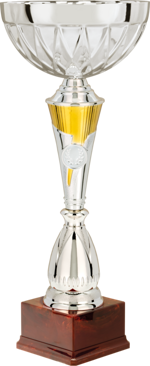 261271-coppa-300-mm-area-personaliz-l-x-h-mm-60-x-25-mm