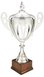 26058cc-3-trofeo-con-coperchio-h430mm