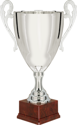 260151-trofeo-h380mm