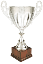 26058-4-trofeo-h370mm