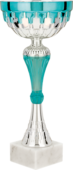 26907-3-coppa-290-mm