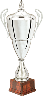 28041cc-1-trofeo-coppa-con-coperchio-h52mm