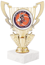 116021g-trofeo-plastica-argento-altezza-mm-150-mm-area-personaliz-l-x-h-mm-50-x-17-mm