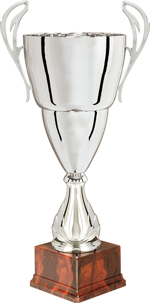 260372-trofeo-h450mm