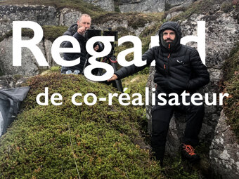 regard de co.jpeg
